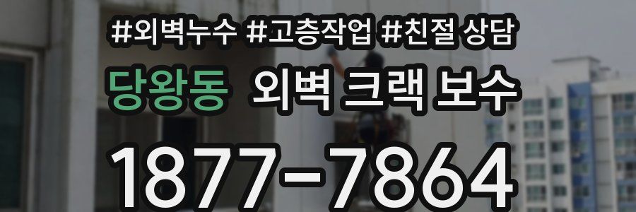 당왕동 외벽 크랙 보수