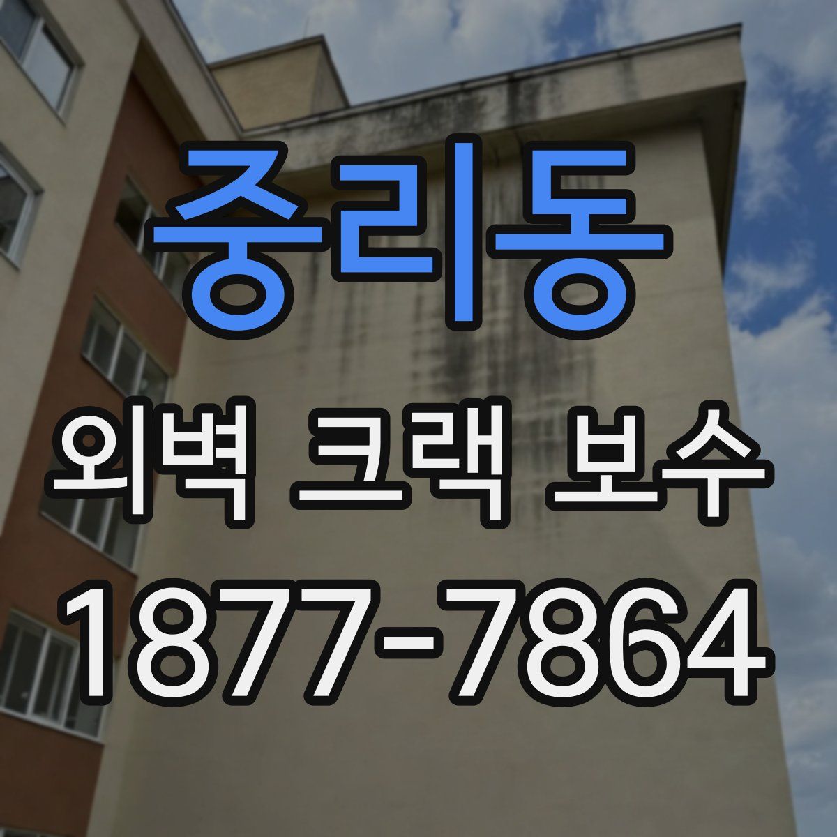 중리동 외벽 크랙 보수