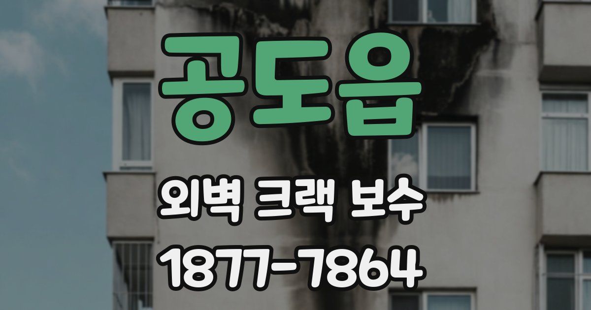 공도읍 외벽 크랙 보수
