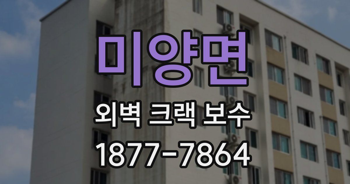 미양면 외벽 크랙 보수