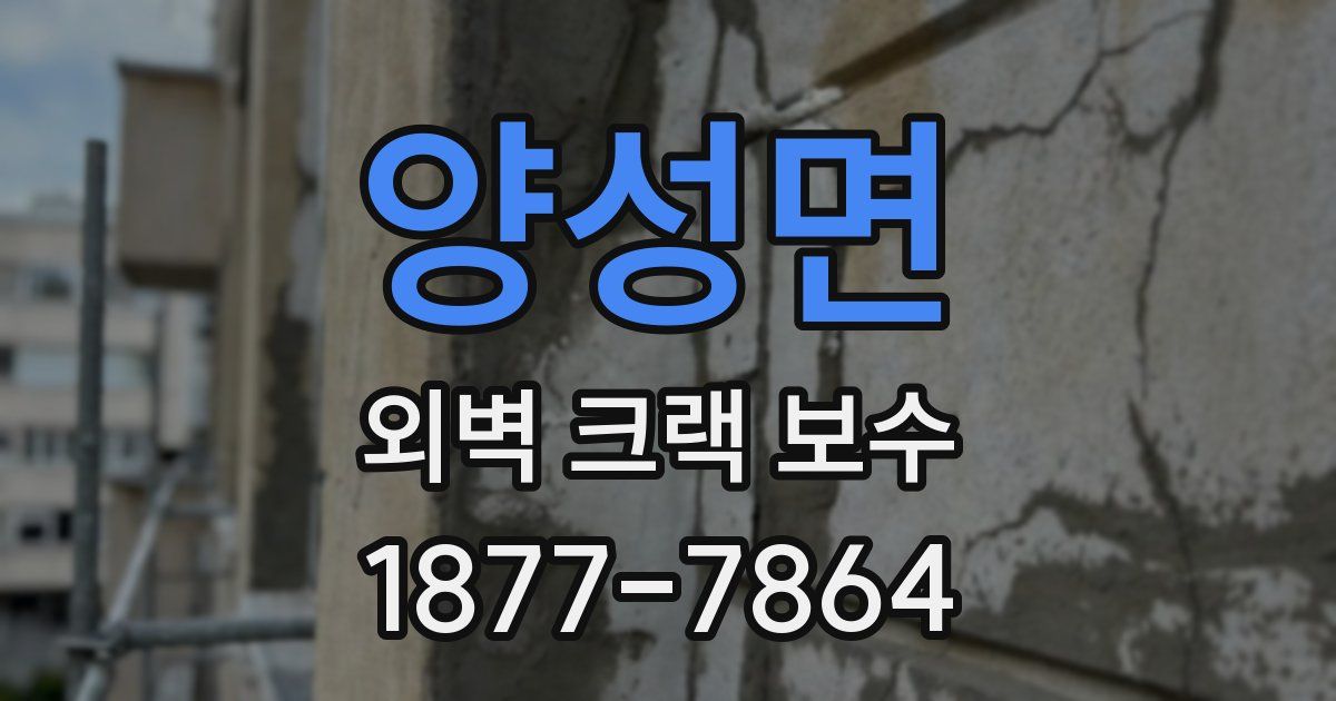 양성면 외벽 크랙 보수