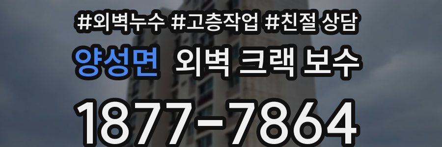 양성면 외벽 크랙 보수