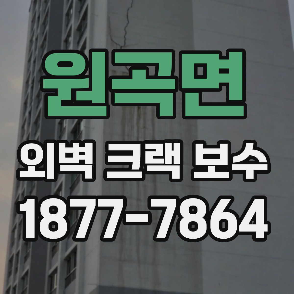 원곡면 외벽 크랙 보수