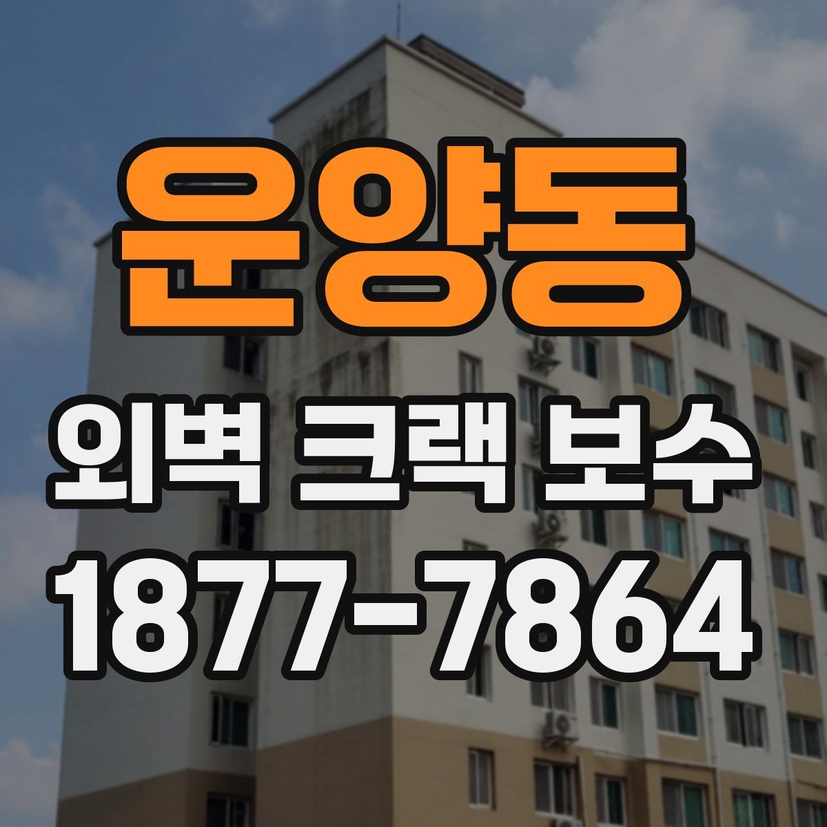 운양동 외벽 크랙 보수