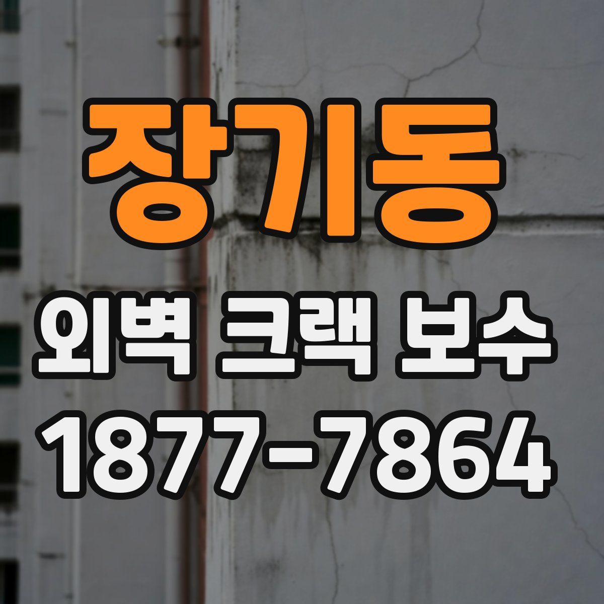 장기동 외벽 크랙 보수