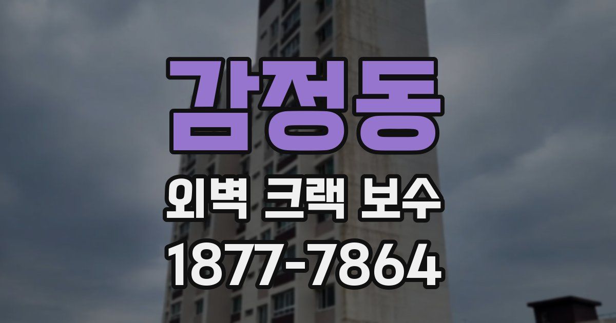 감정동 외벽 크랙 보수