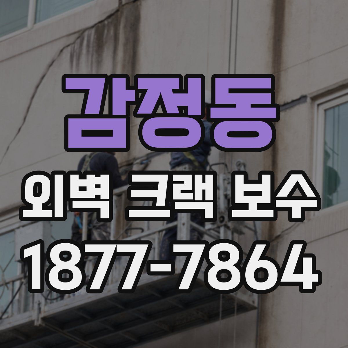 감정동 외벽 크랙 보수
