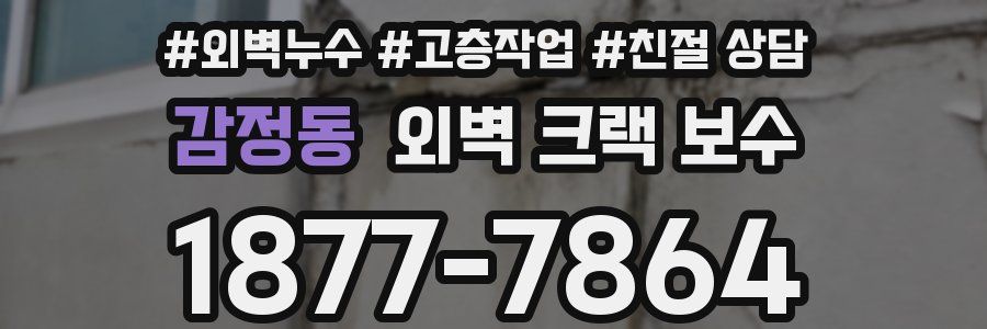 감정동 외벽 크랙 보수