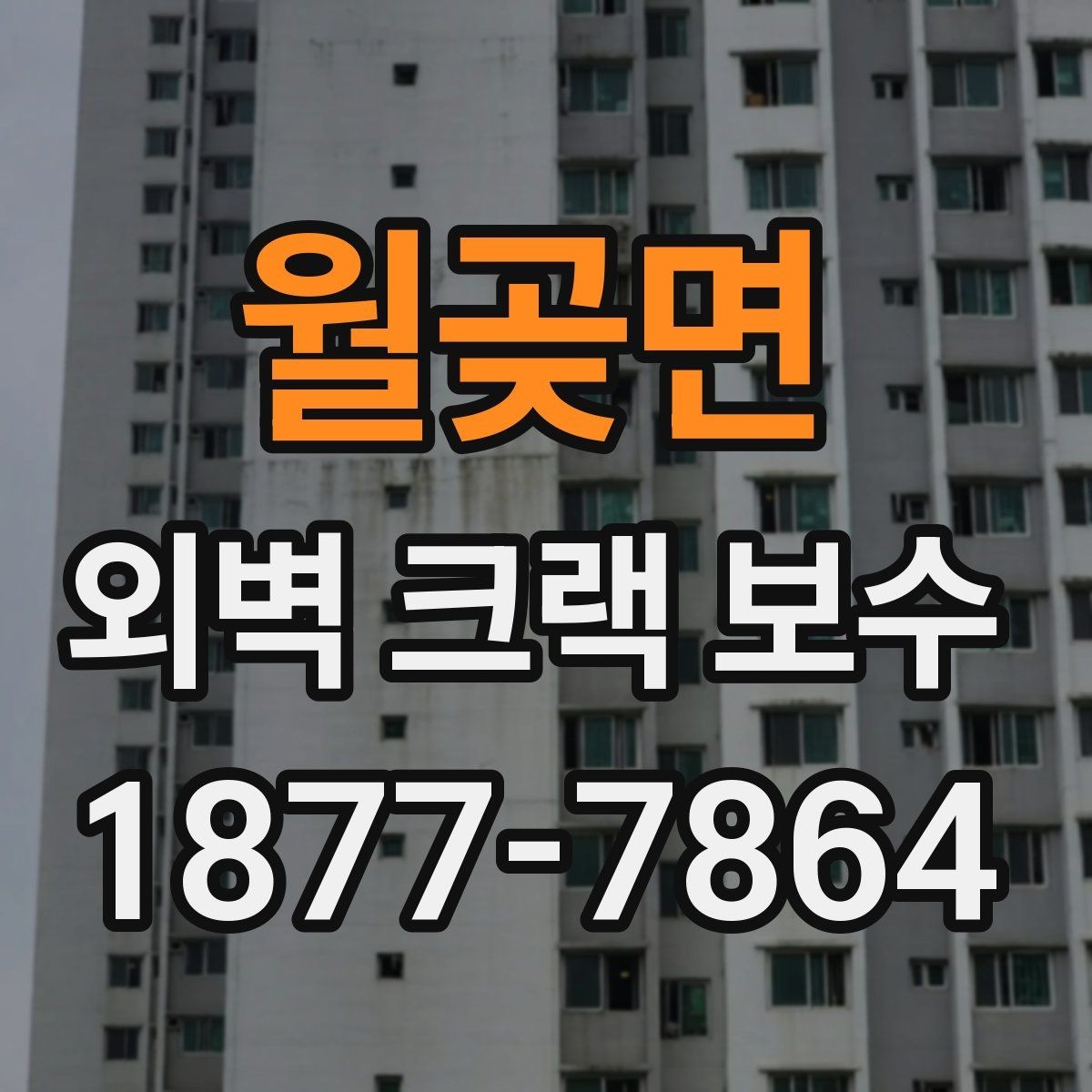월곶면 외벽 크랙 보수 전후 달라지는 점 확인하기