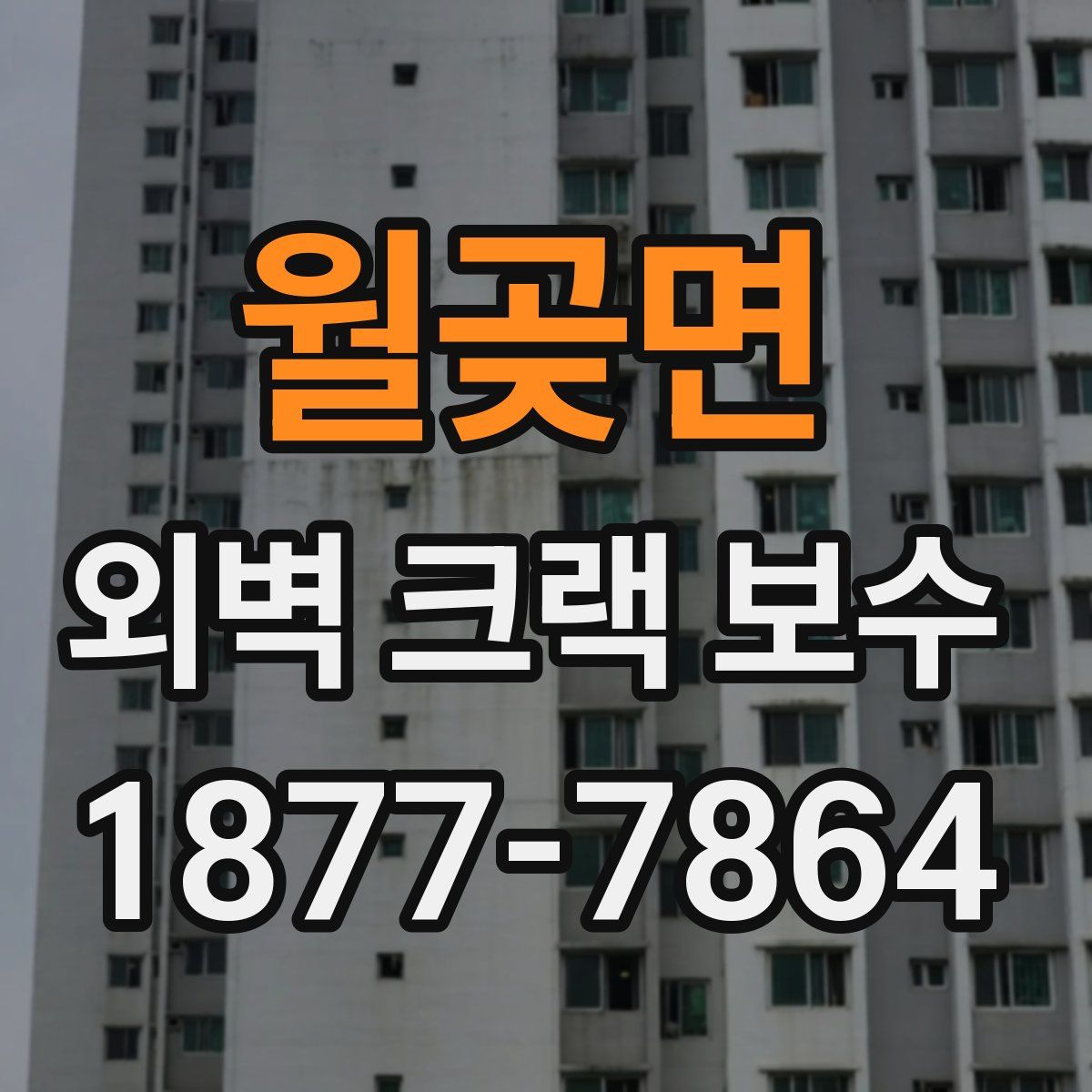 월곶면 외벽 크랙 보수