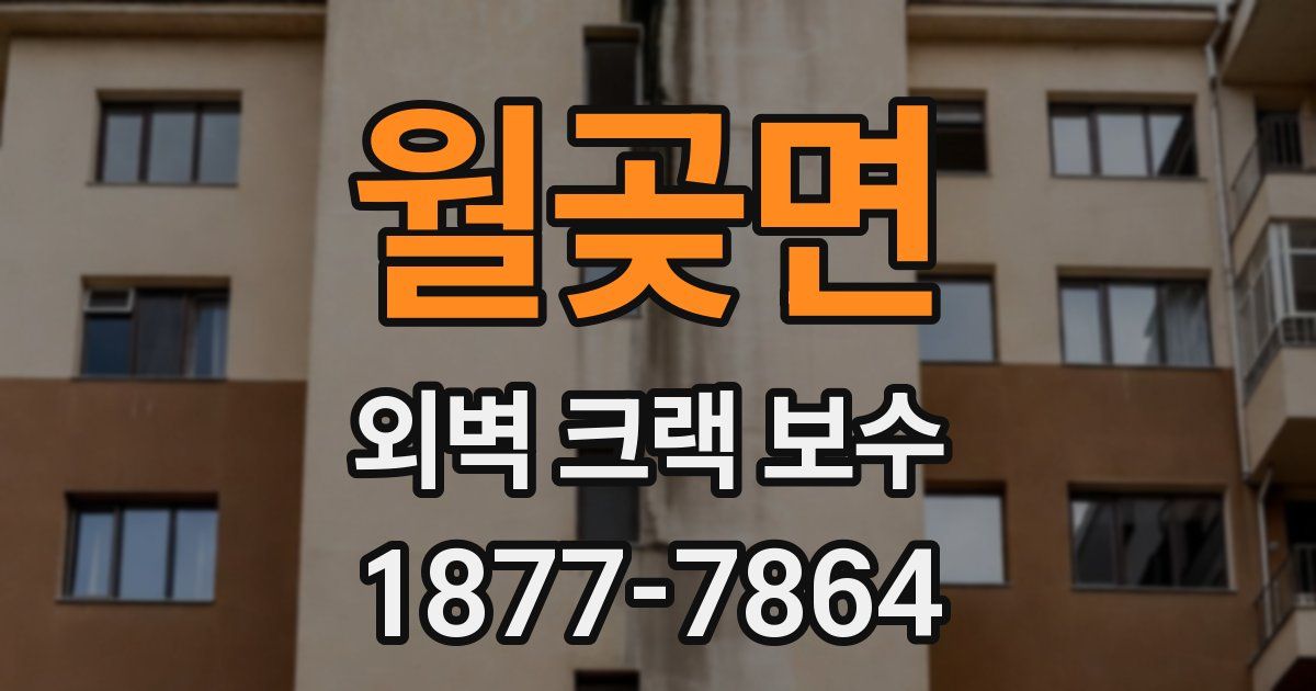 월곶면 외벽 크랙 보수