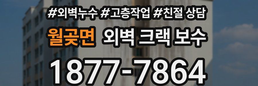 월곶면 외벽 크랙 보수