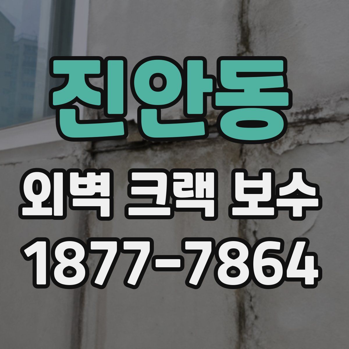 진안동 외벽 크랙 보수