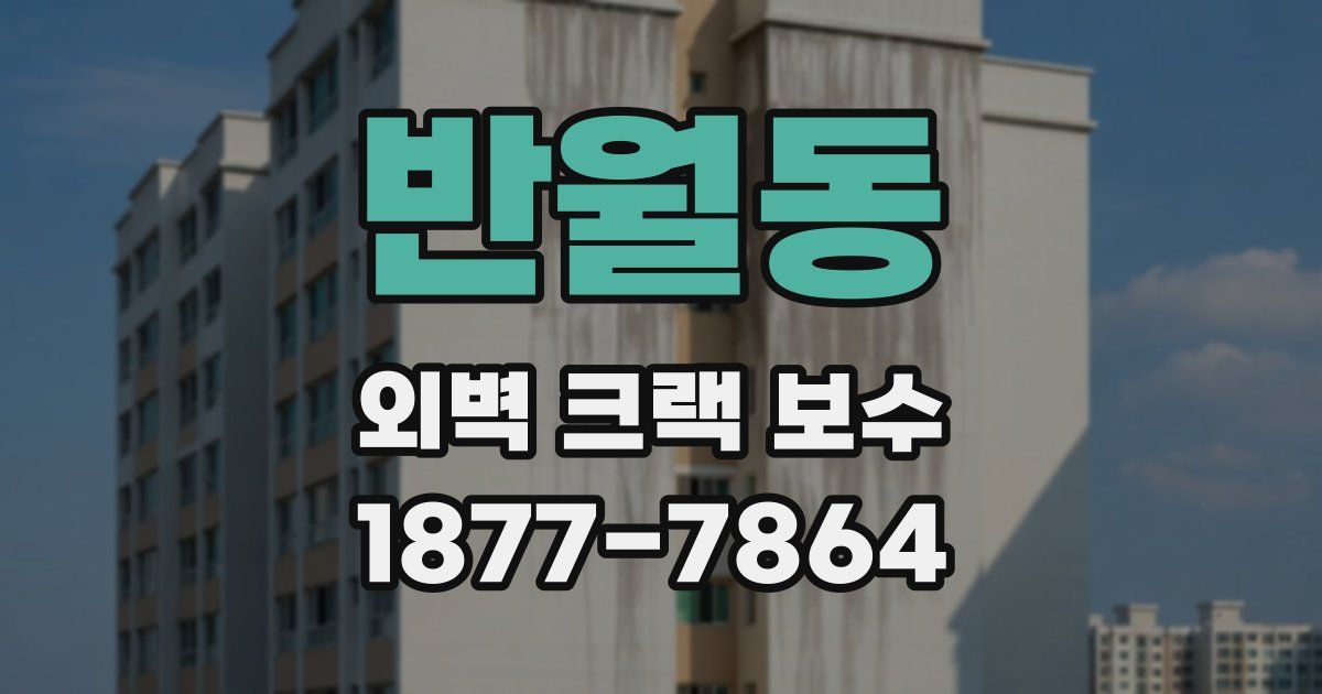 반월동 외벽 크랙 보수