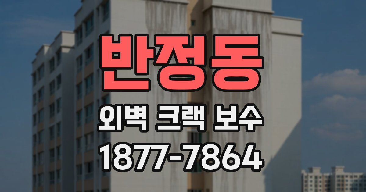 반정동 외벽 크랙 보수