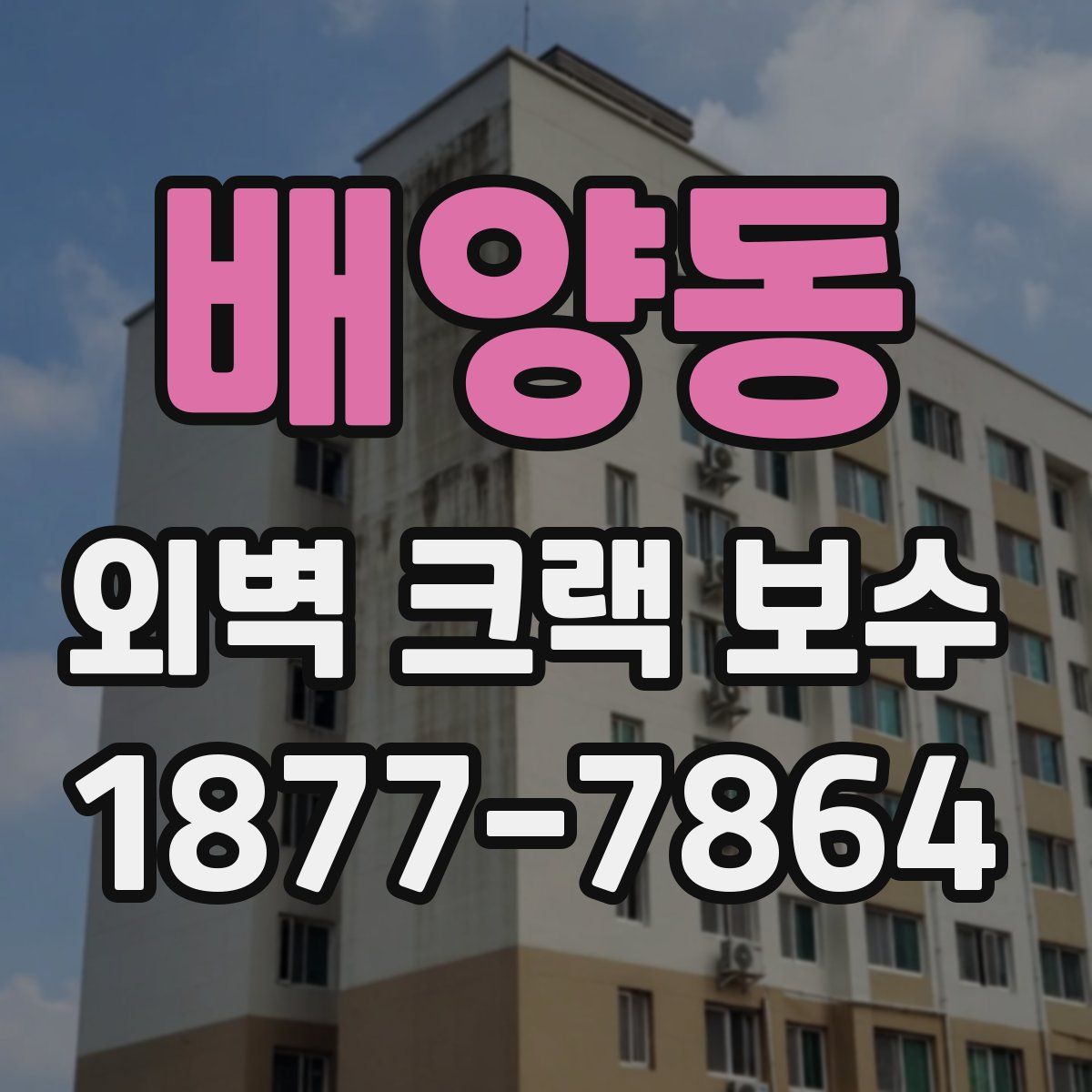 배양동 외벽 크랙 보수