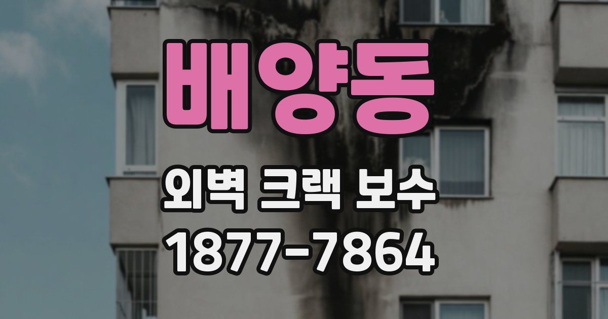 배양동 외벽 크랙 보수