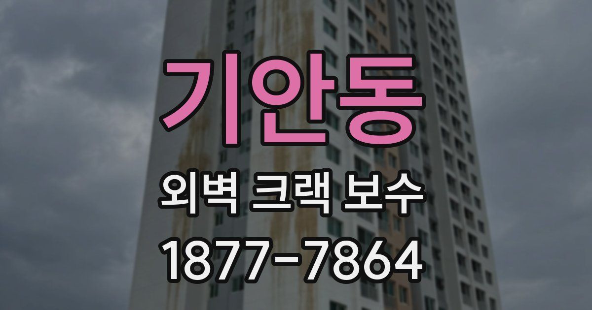 기안동 외벽 크랙 보수