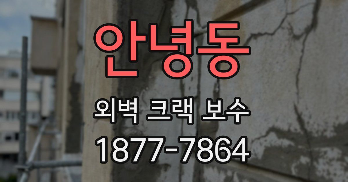 안녕동 외벽 크랙 보수