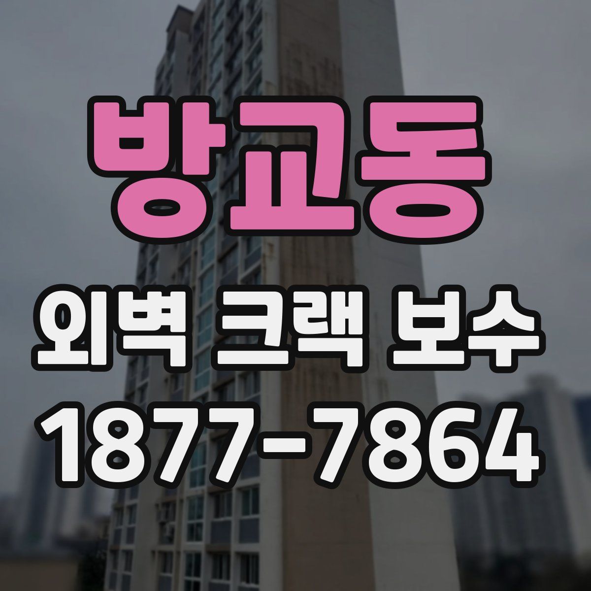 방교동 외벽 크랙 보수