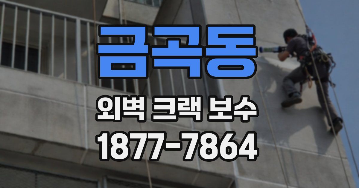 금곡동 외벽 크랙 보수