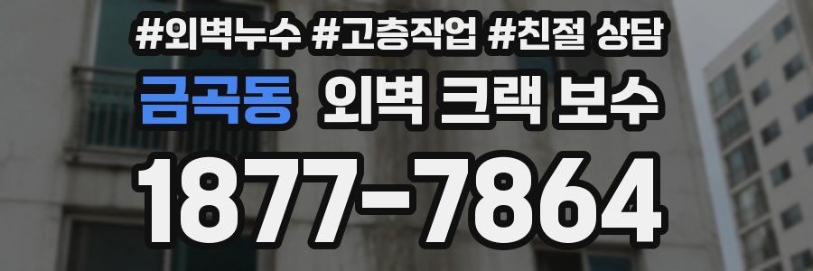 금곡동 외벽 크랙 보수