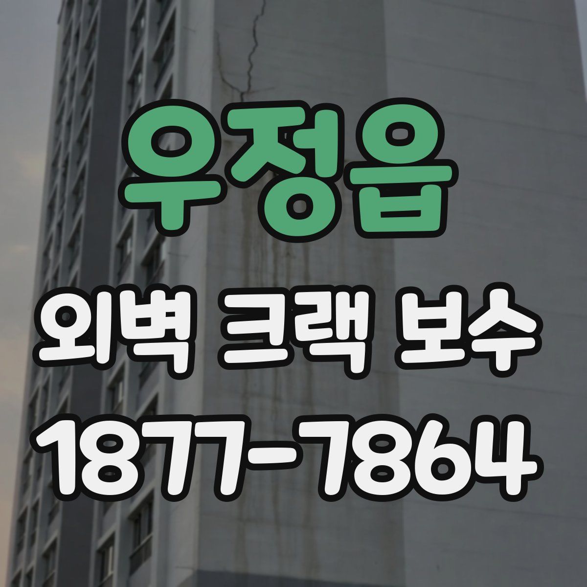 우정읍 외벽 크랙 보수