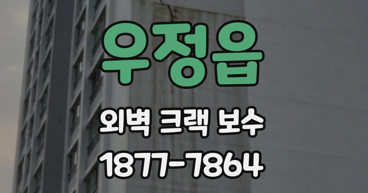 우정읍 외벽 크랙 보수