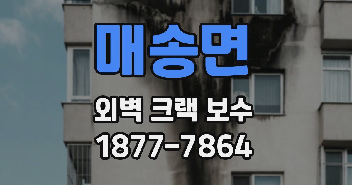 매송면 외벽 크랙 보수