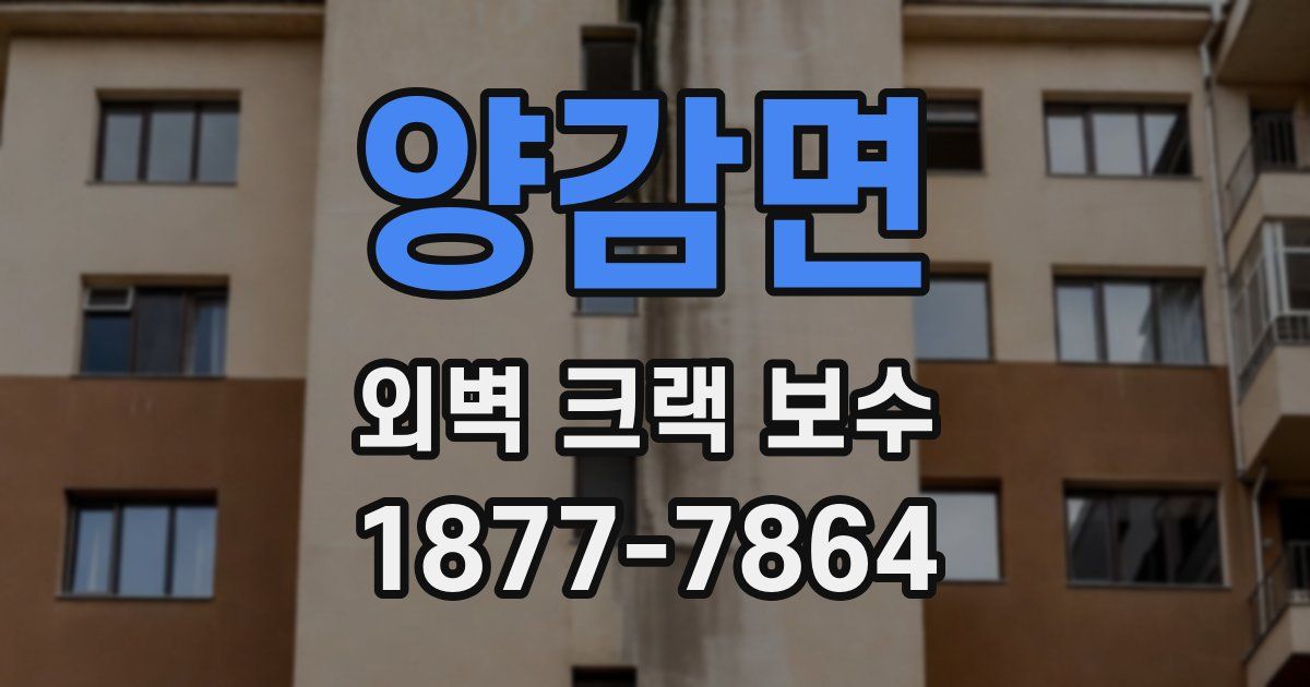 양감면 외벽 크랙 보수