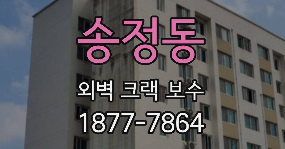 송정동 외벽 크랙 보수