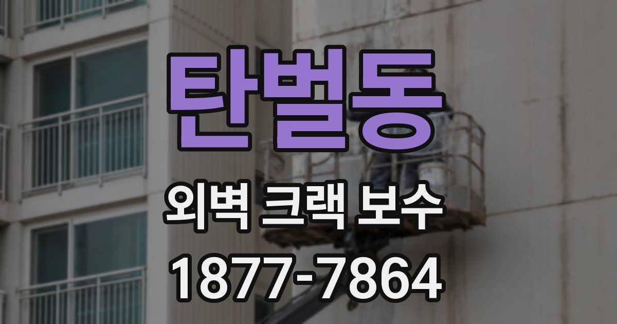 탄벌동 외벽 크랙 보수