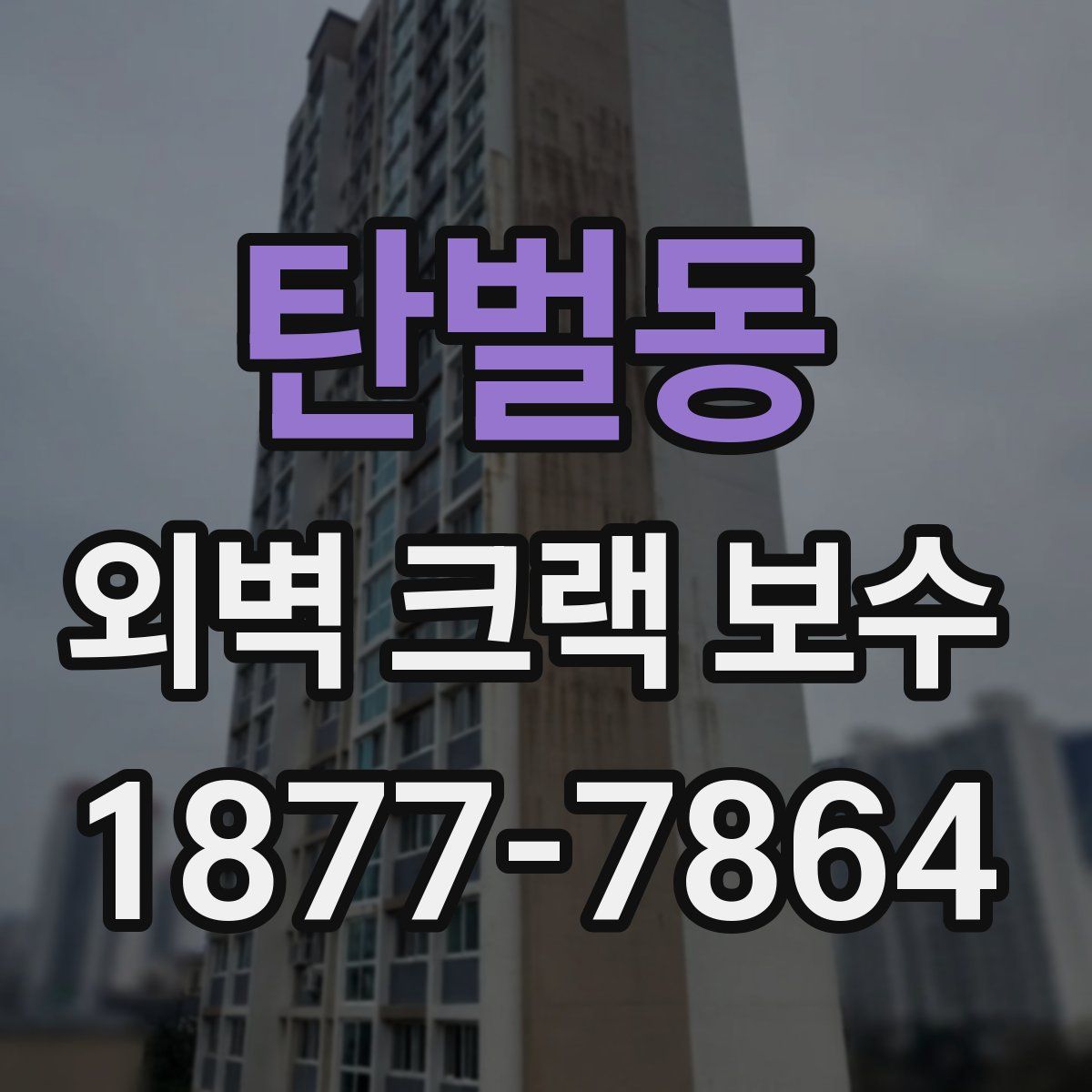 탄벌동 외벽 크랙 보수