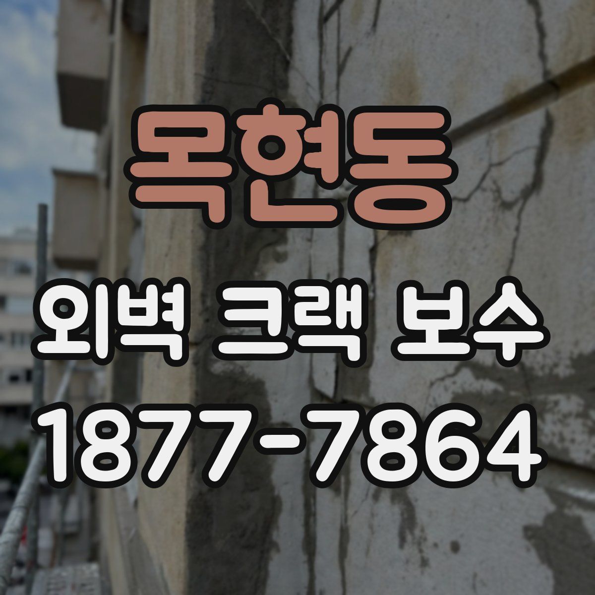 목현동 외벽 크랙 보수