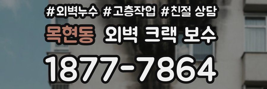 목현동 외벽 크랙 보수