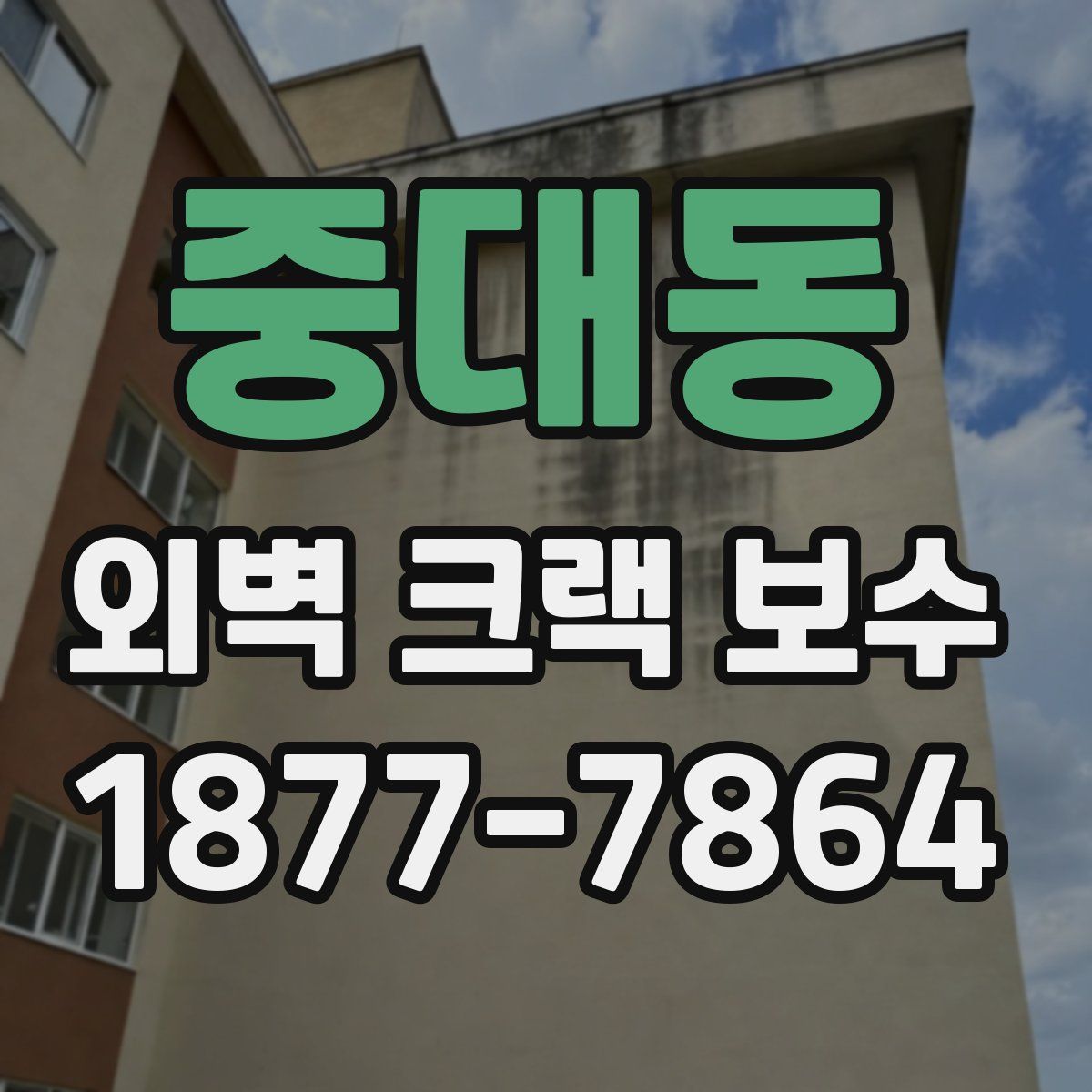 중대동 외벽 크랙 보수