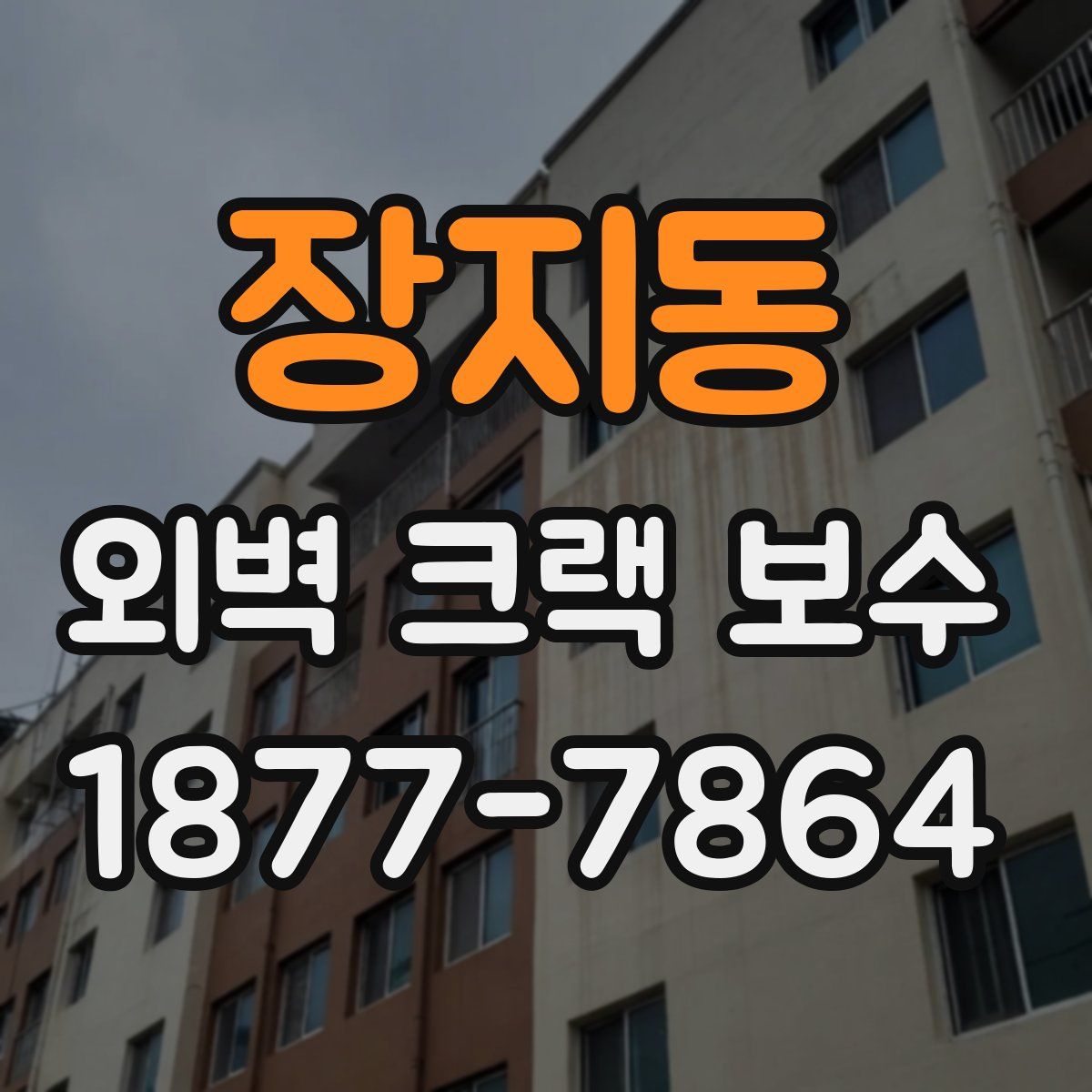 장지동 외벽 크랙 보수