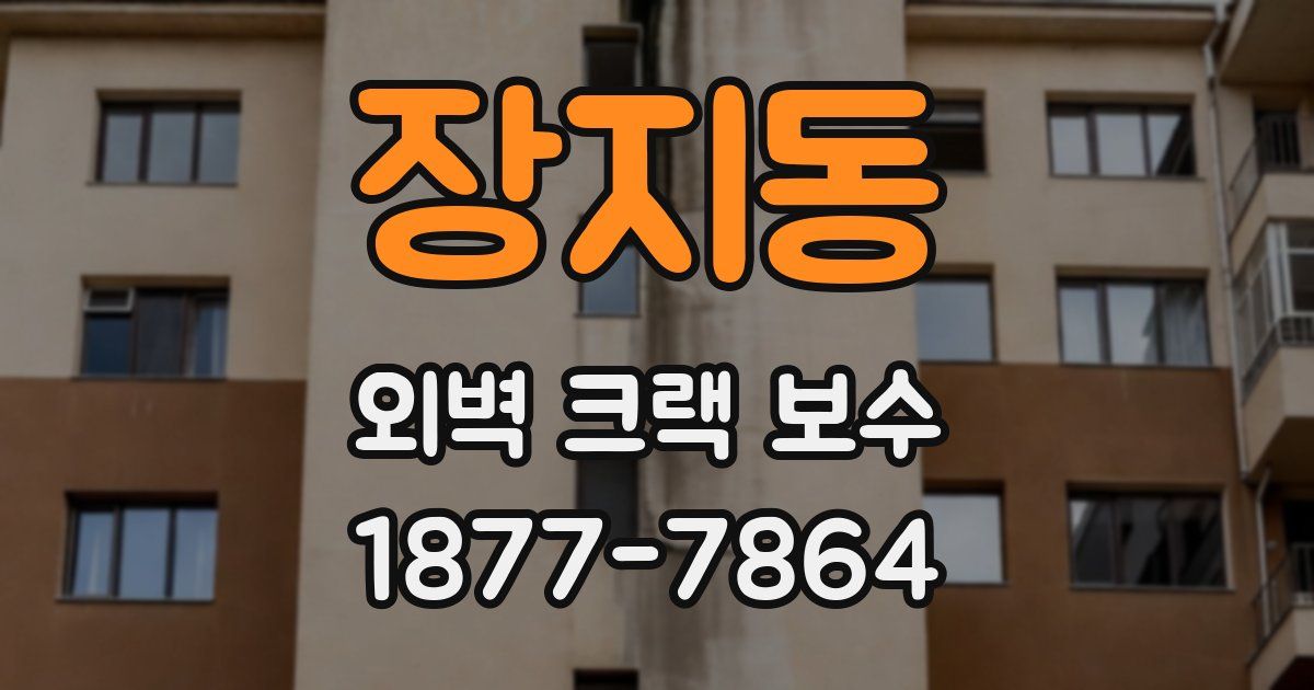 장지동 외벽 크랙 보수