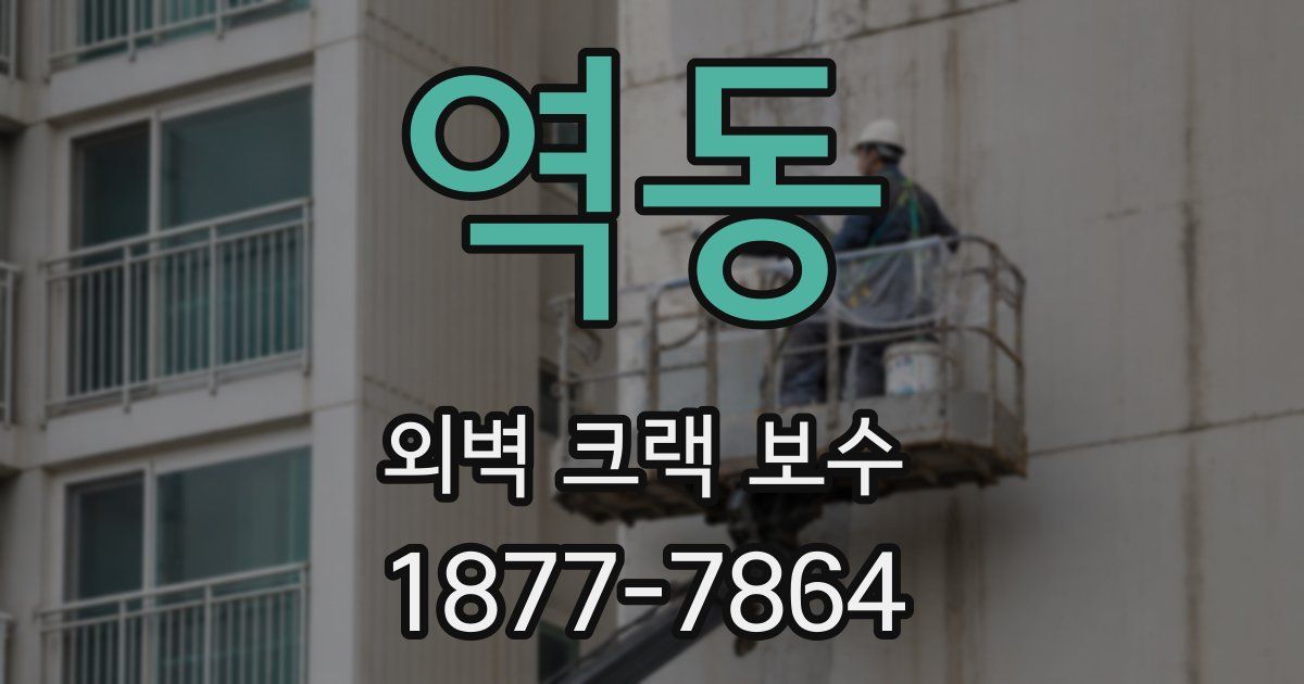 역동 외벽 크랙 보수