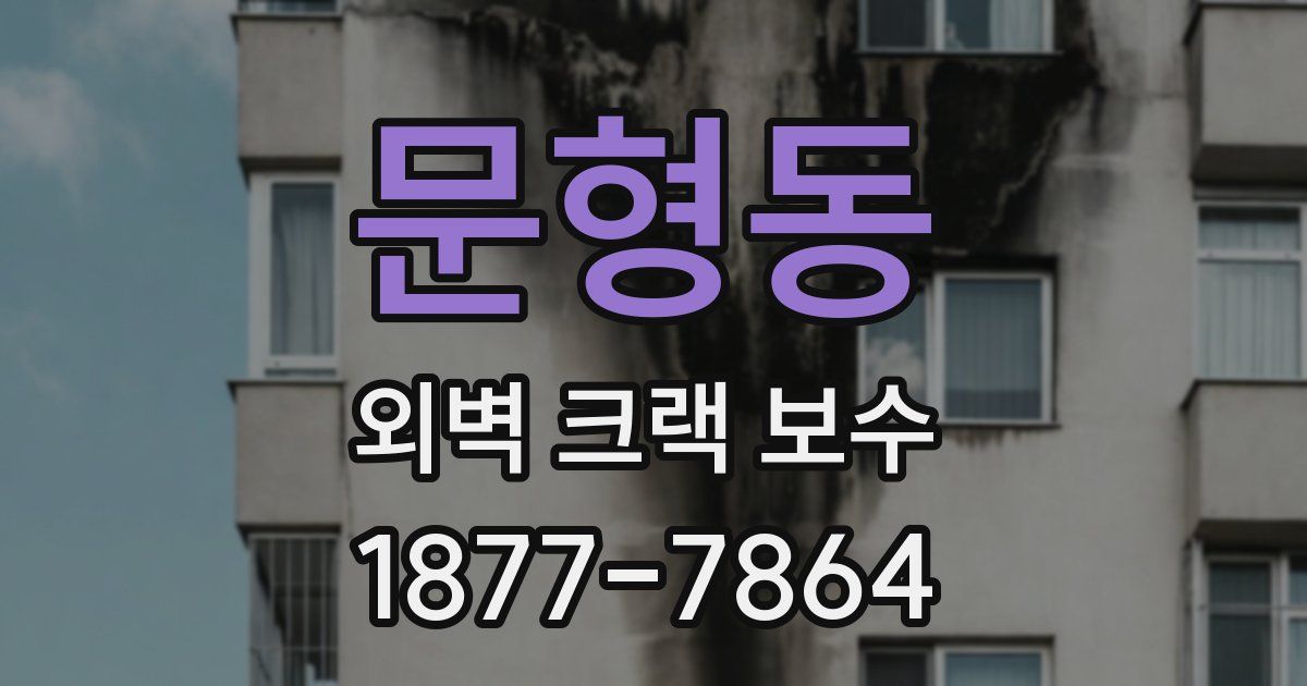 문형동 외벽 크랙 보수