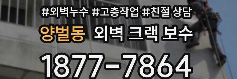 양벌동 외벽 크랙 보수