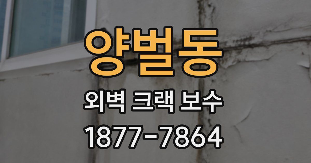 양벌동 외벽 크랙 보수