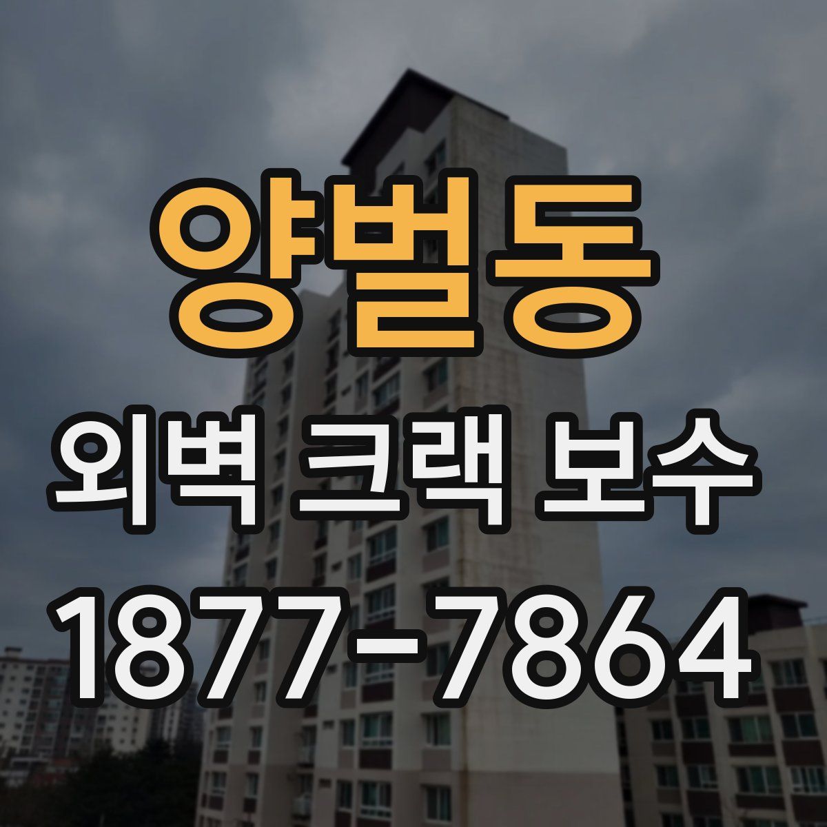 양벌동 외벽 크랙 보수