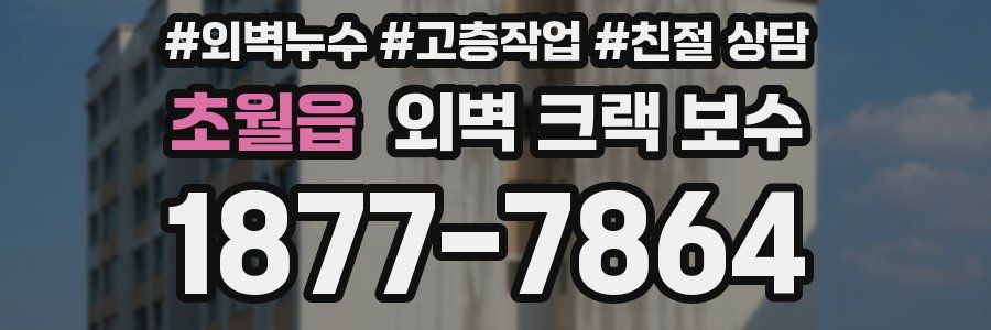초월읍 외벽 크랙 보수