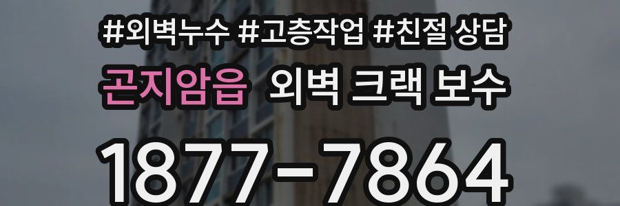 곤지암읍 외벽 크랙 보수
