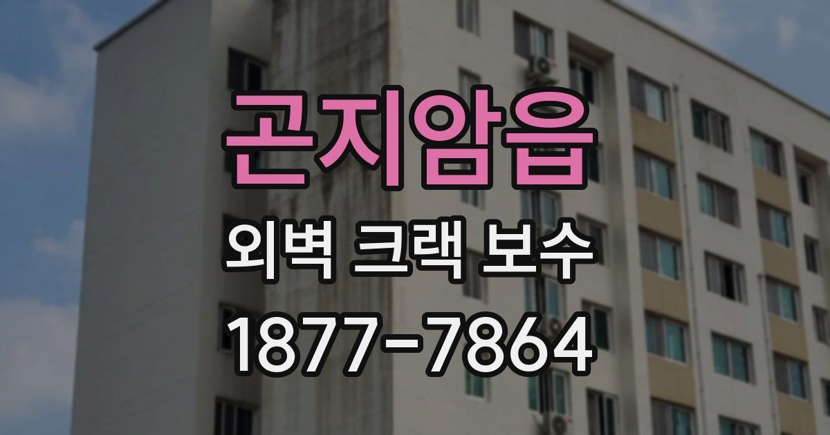 곤지암읍 외벽 크랙 보수