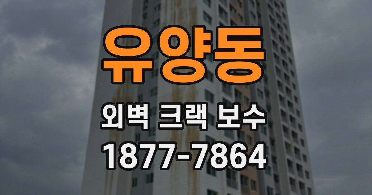 유양동 외벽 크랙 보수
