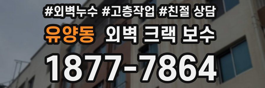 유양동 외벽 크랙 보수