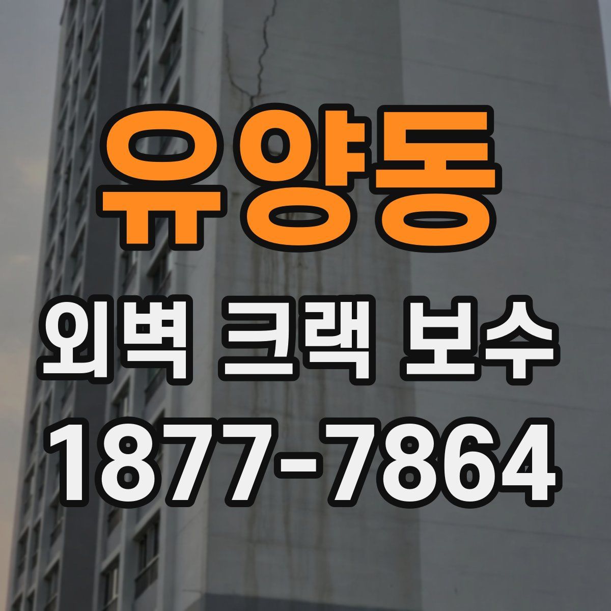 유양동 외벽 크랙 보수