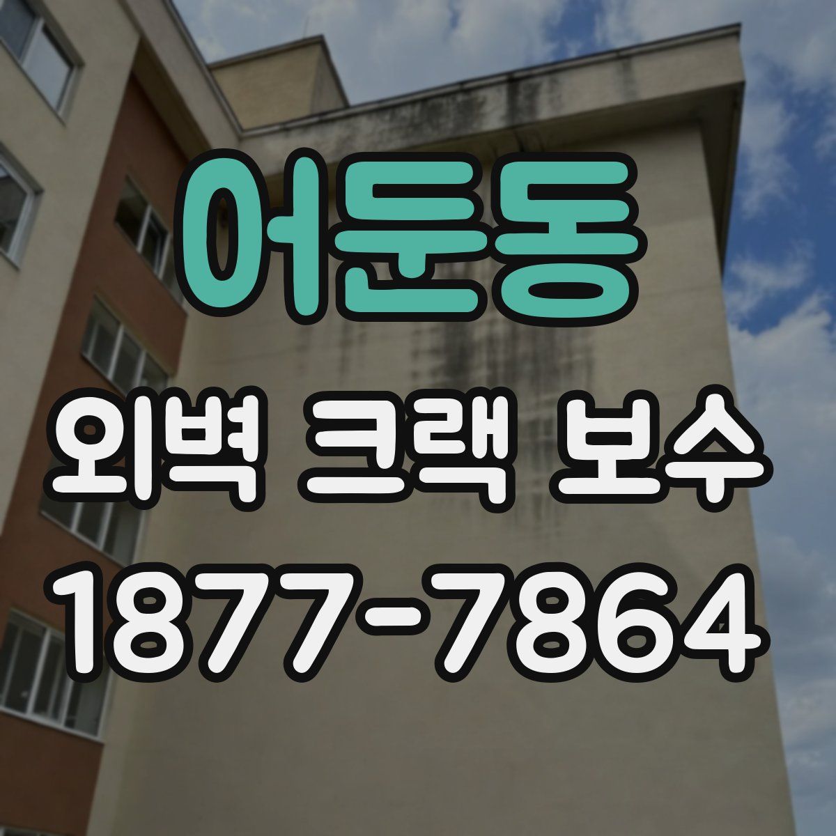 어둔동 외벽 크랙 보수